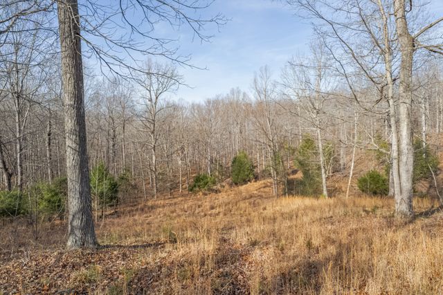 104 James Zimmerman Rd, Hampshire, TN 38461