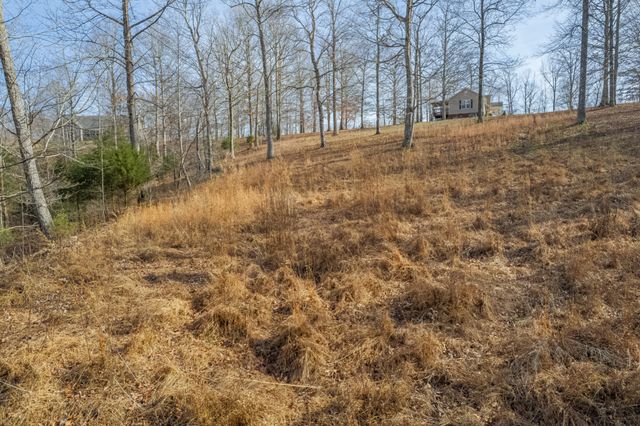 104 James Zimmerman Rd, Hampshire, TN 38461