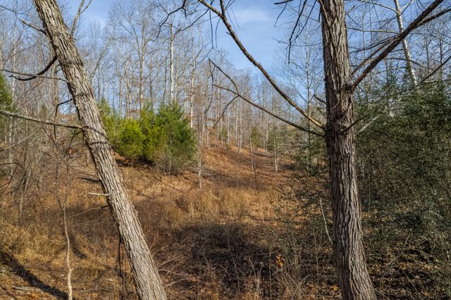 104 James Zimmerman Rd, Hampshire, TN 38461