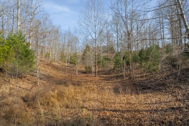 104 James Zimmerman Rd, Hampshire, TN 38461