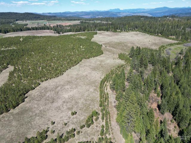 0 Barley Drive, Lenore, ID 83541