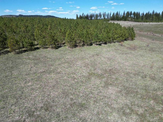 0 Barley Drive, Lenore, ID 83541