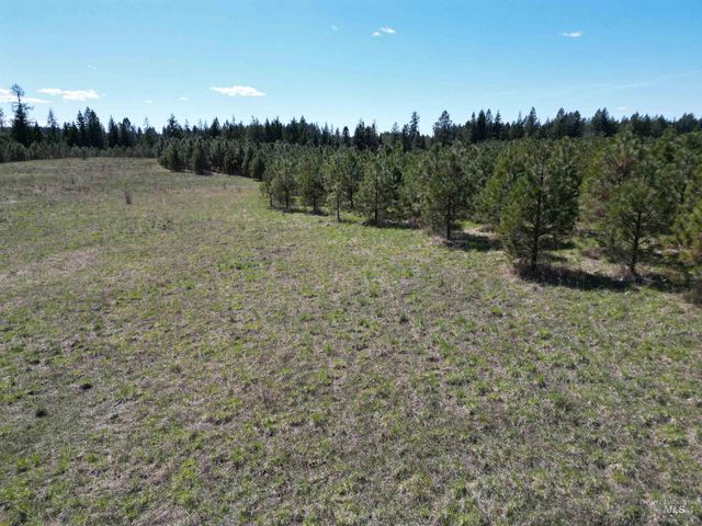 0 Barley Drive, Lenore, ID 83541