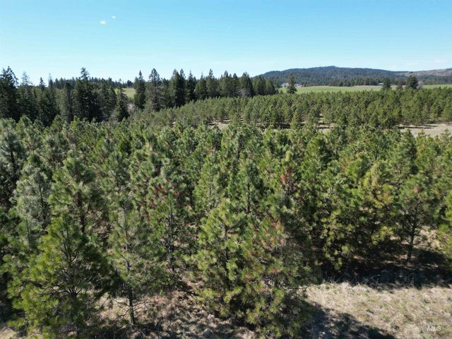 0 Barley Drive, Lenore, ID 83541
