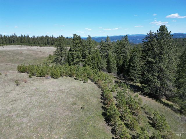 0 Barley Drive, Lenore, ID 83541