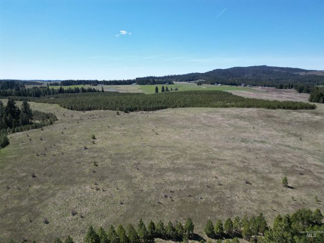 0 Barley Drive, Lenore, ID 83541