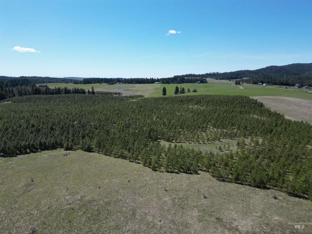 0 Barley Drive, Lenore, ID 83541