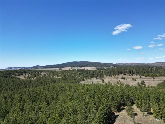 0 Barley Drive, Lenore, ID 83541