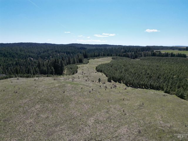 0 Barley Drive, Lenore, ID 83541