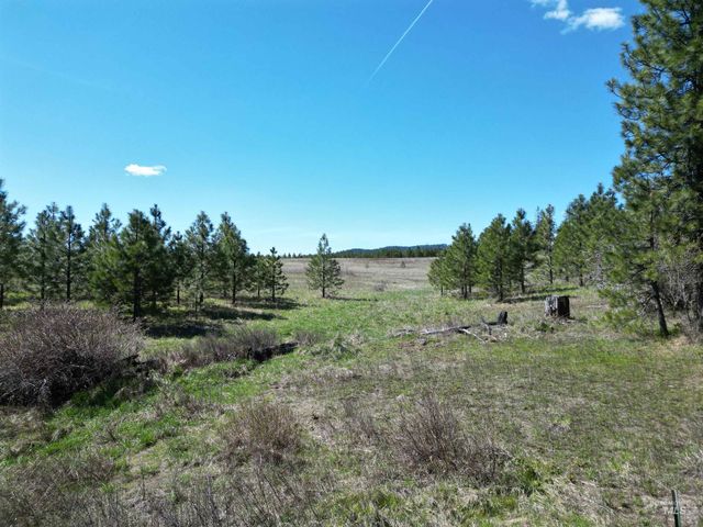 0 Barley Drive, Lenore, ID 83541