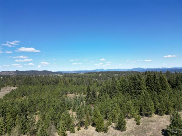 0 Barley Drive, Lenore, ID 83541