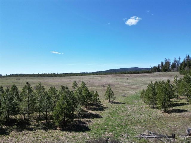 0 Barley Drive, Lenore, ID 83541