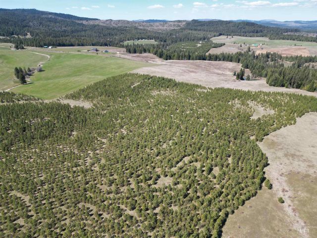 0 Barley Drive, Lenore, ID 83541