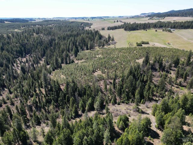 0 Barley Drive, Lenore, ID 83541