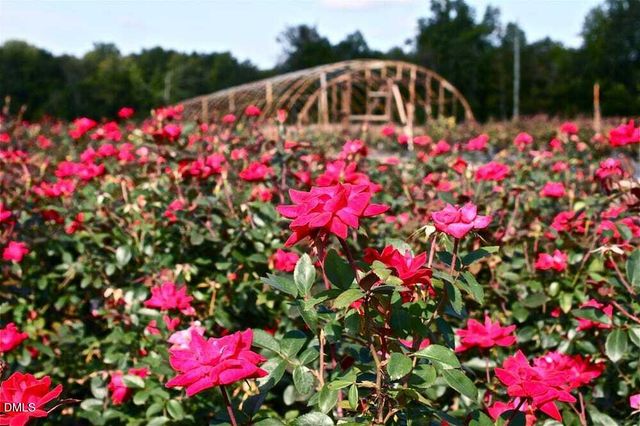 576 Highview Drive, Benson, NC 27504