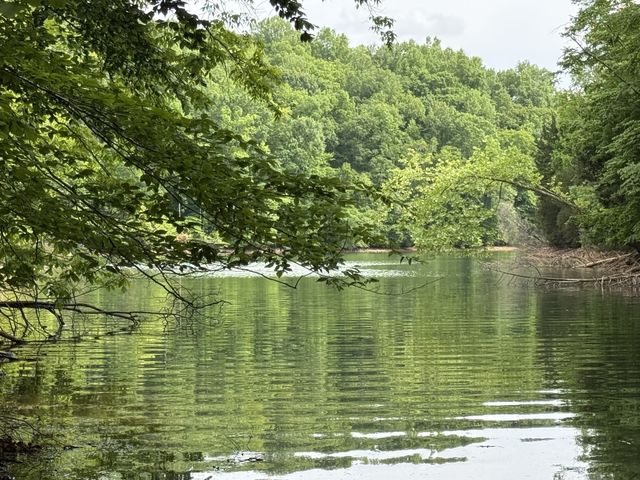 647 Golf Shores Dr, Winchester, TN 37398