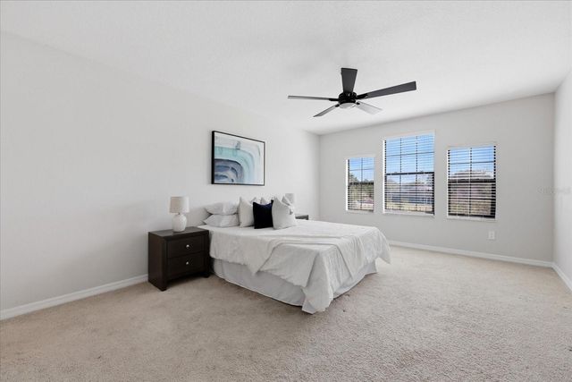 21223 WISTFUL YEARN DRIVE, Land O Lakes, FL 34637