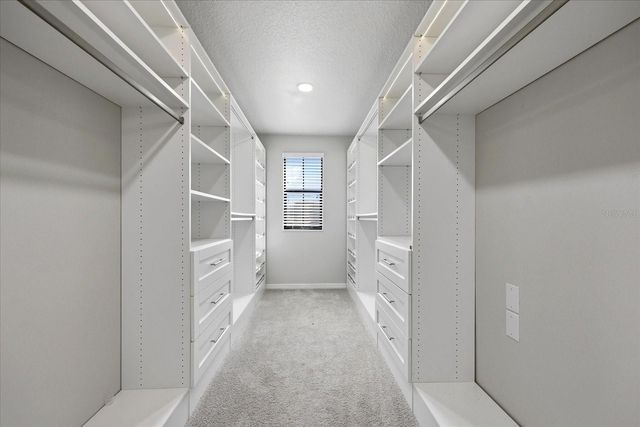 21223 WISTFUL YEARN DRIVE, Land O Lakes, FL 34637