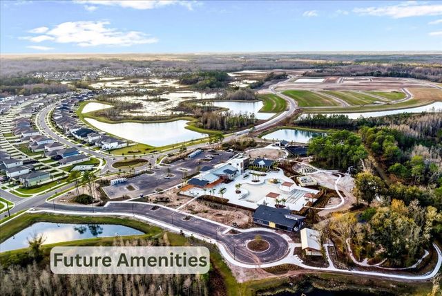 21223 WISTFUL YEARN DRIVE, Land O Lakes, FL 34637