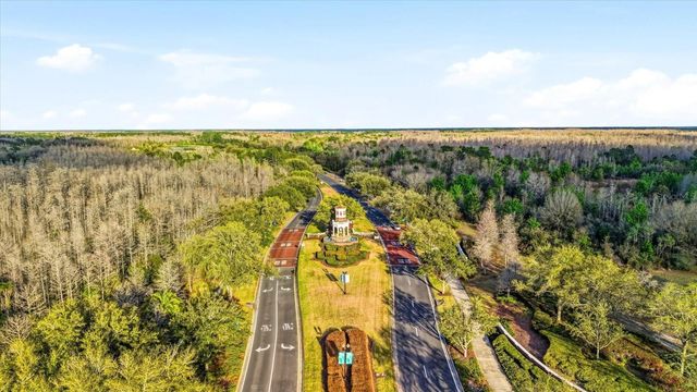 21223 WISTFUL YEARN DRIVE, Land O Lakes, FL 34637