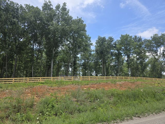 4821 Kedron Rd, Spring Hill, TN 37174