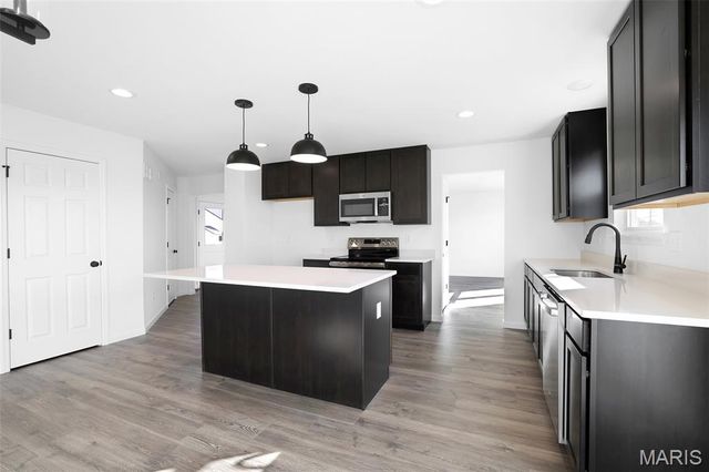 12 Shady Elm Court, St Charles, MO 63301