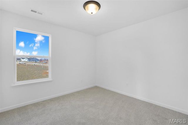 12 Shady Elm Court, St Charles, MO 63301