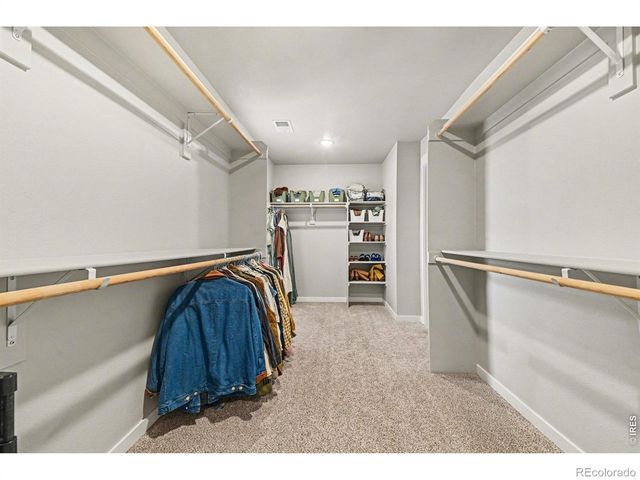 4490 Haymill Court, Timnath, CO 80547