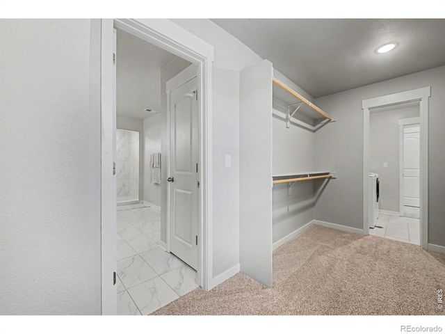 4490 Haymill Court, Timnath, CO 80547
