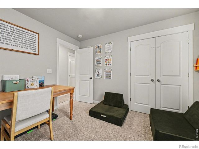 4490 Haymill Court, Timnath, CO 80547