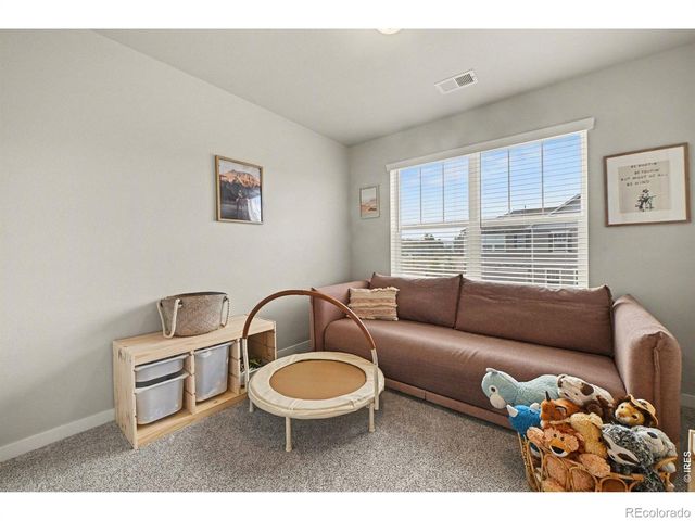 4490 Haymill Court, Timnath, CO 80547