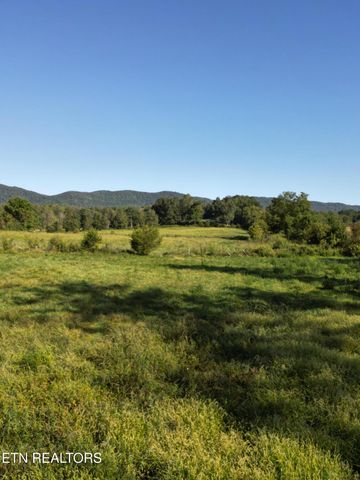 317 Singleton Hollow Rd lot 3, Speedwell, TN 37870