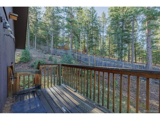 1170 Pine Ridge Rd, Woodland Park, CO 80863