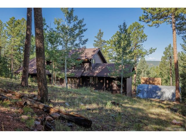 1170 Pine Ridge Rd, Woodland Park, CO 80863