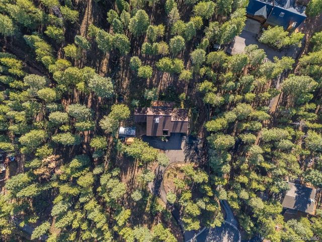 1170 Pine Ridge Rd, Woodland Park, CO 80863