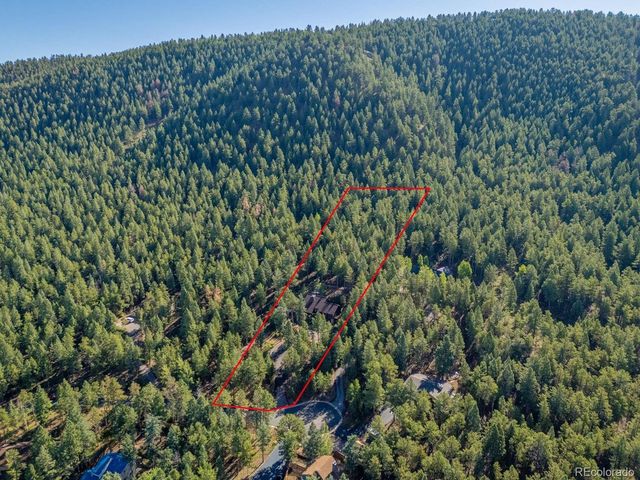 1170 Pine Ridge Rd, Woodland Park, CO 80863