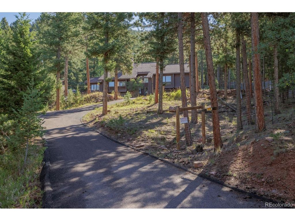 1170 Pine Ridge Rd, Woodland Park, CO 80863