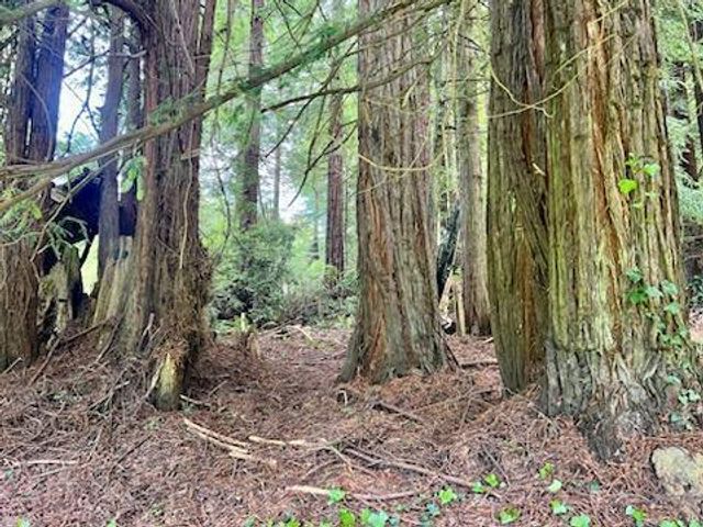 0 Woodland Way, Eureka, CA 95503