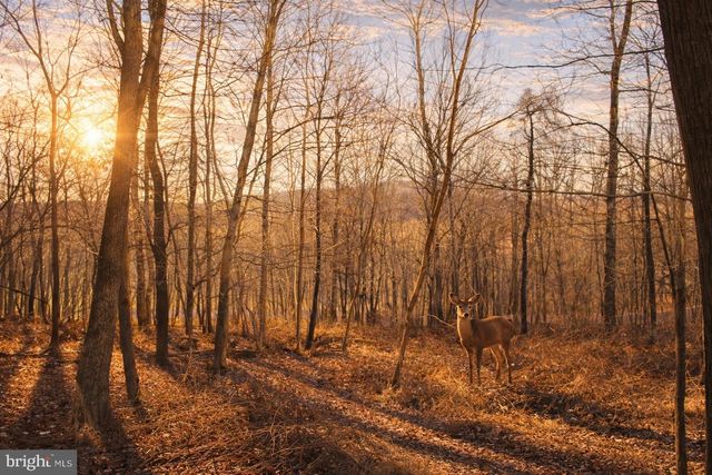 0 WATER TANK RD, Manchester, MD 21102