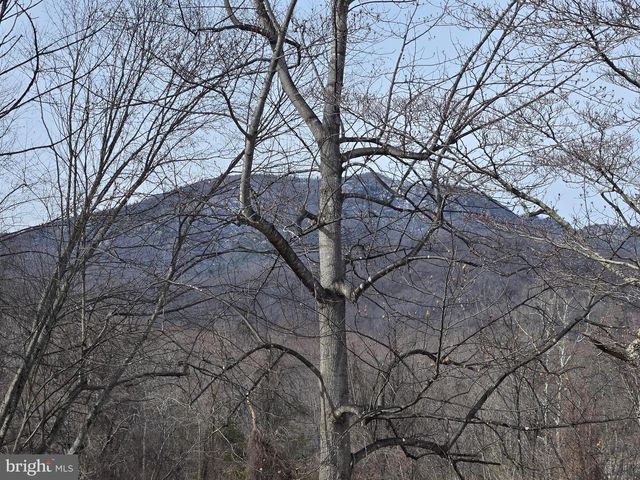 2996 ETLAN RD, Etlan, VA 22719