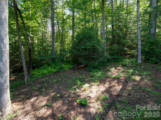 30 Falcon Wood Way, Hendersonville, NC 28739