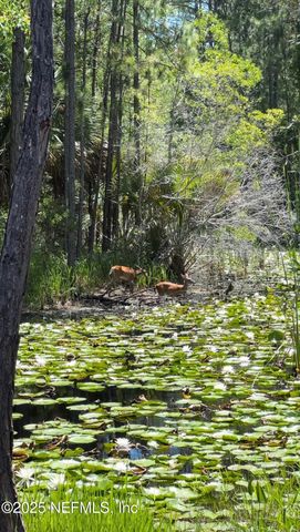 24 OAKHURST Court, St. Augustine, FL 32092