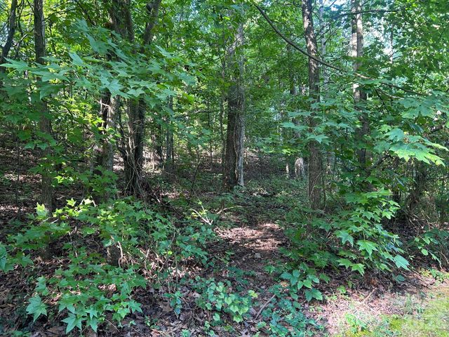 9730 Worley Drive 9, Charlotte, NC 28215