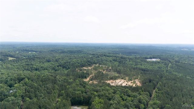 0 Station 32, Cottondale, AL 35453