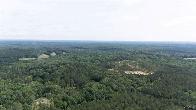 0 Station 32, Cottondale, AL 35453