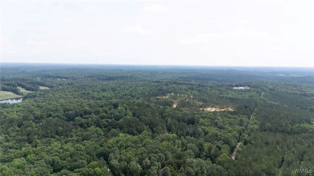 0 Station 32, Cottondale, AL 35453