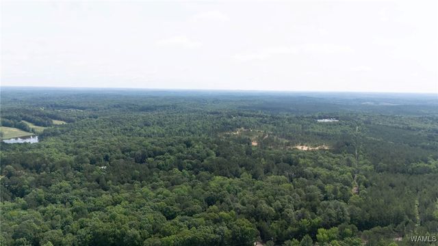 0 Station 32, Cottondale, AL 35453