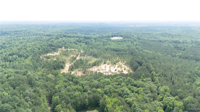 0 Station 32, Cottondale, AL 35453
