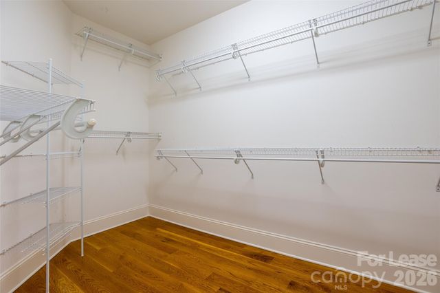 1031 Oriole Street, Charlotte, NC 28203