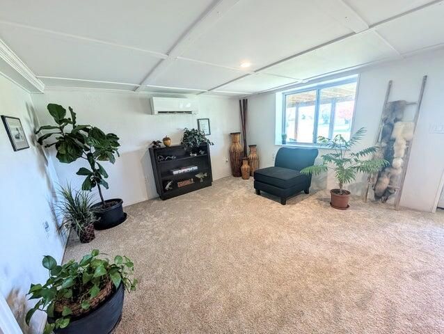 4041 Case Drive, Union City, MI 49094